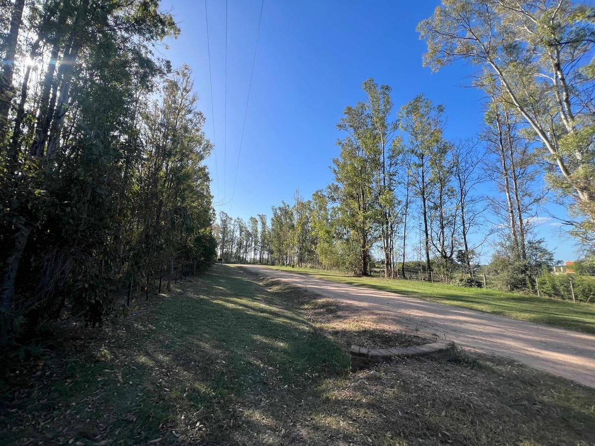 Terreno en venta - 10.000Mts2 - El Paraíso, Ramallo - 1