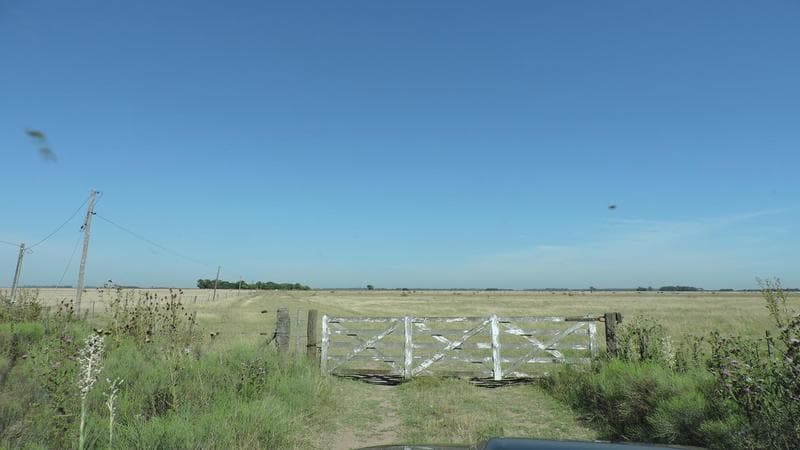 Campo en venta mixto en San Vicente 160 has - 1