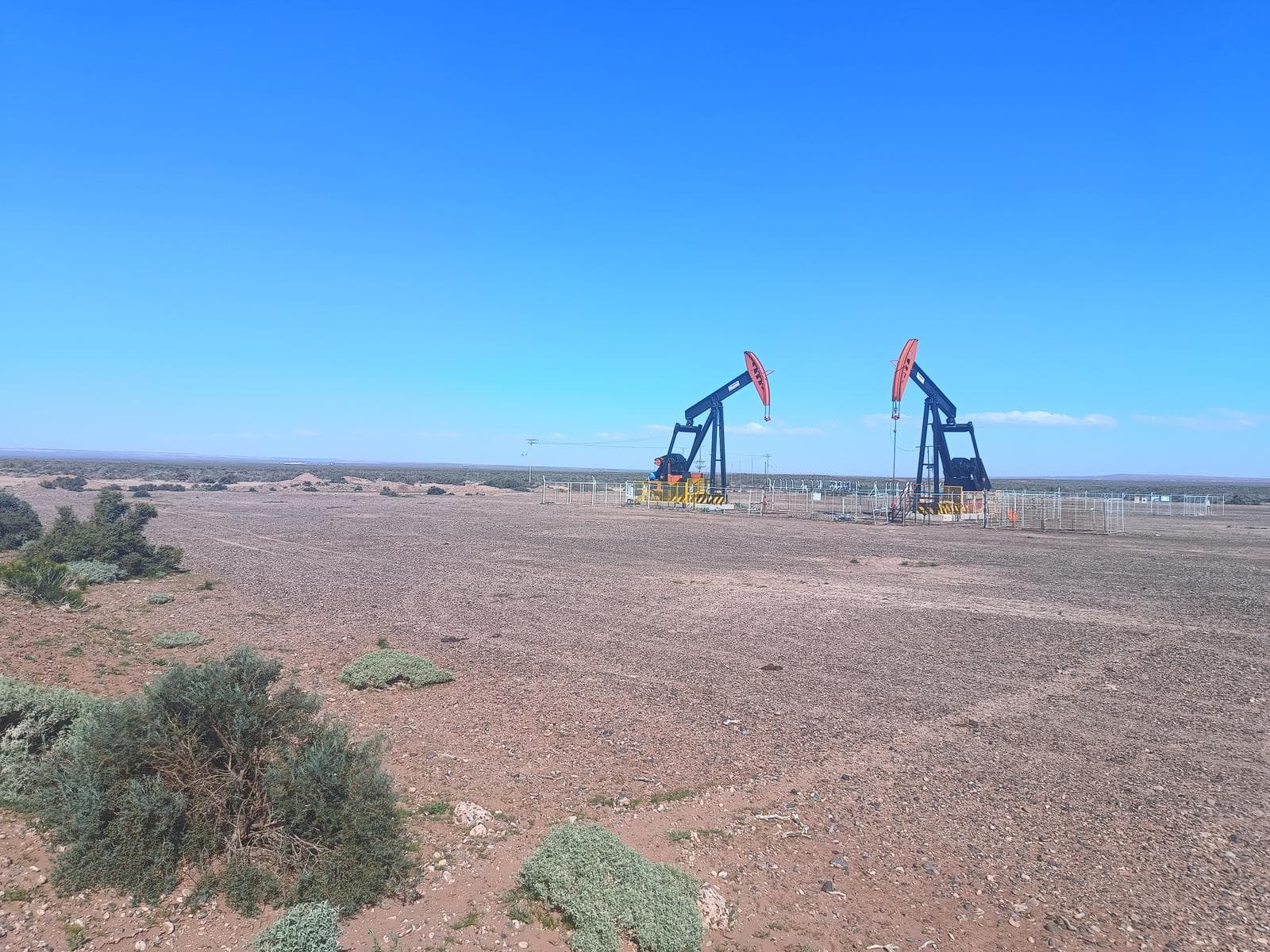 Venta de 366Ha en Añelo - 1