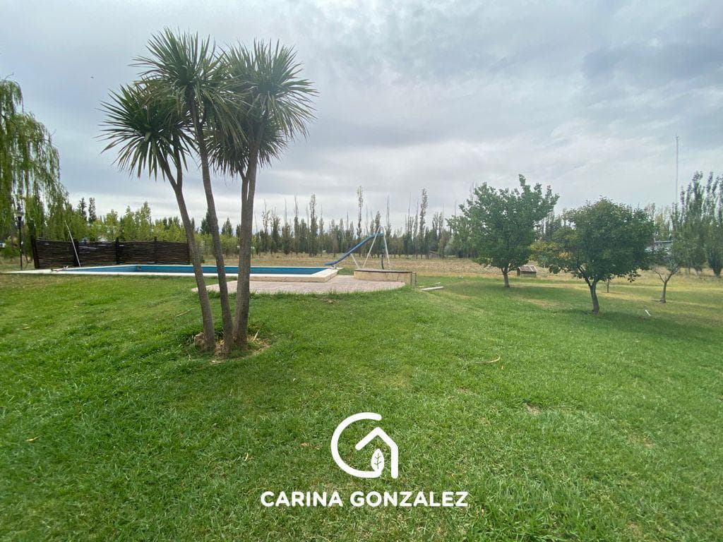 Venta Galpón, oficinas y casa con pileta- Zona 4 Esquinas - Cipolletti - 1