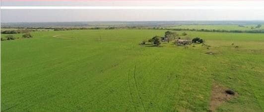 Venta Campo en Entre Rios Puerto Algarrobo Argentina - 1