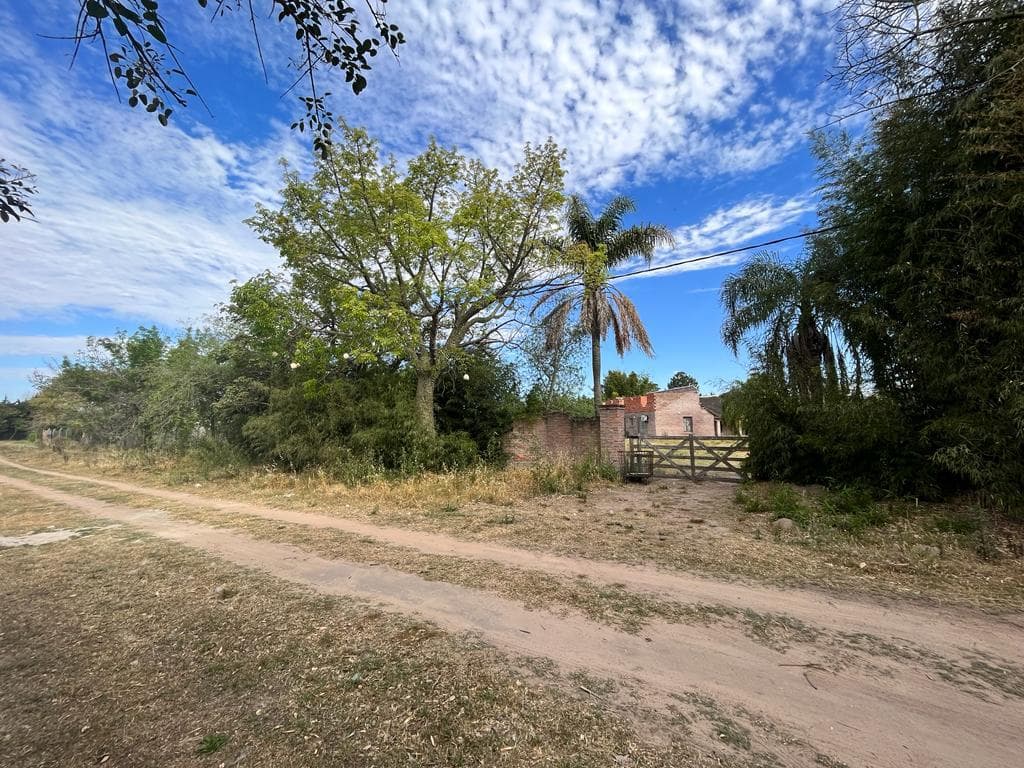 Terreno amplio en Rincon - 1