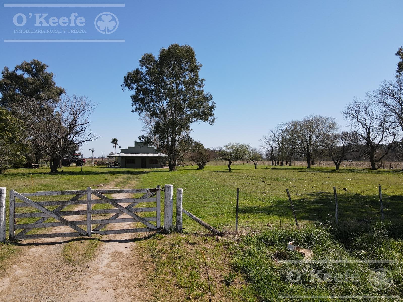 CHACRA de 15 has en venta - Disfrute y producción a 1000 mts de Ruta 29, en el Partido de General Belgrano. - 1
