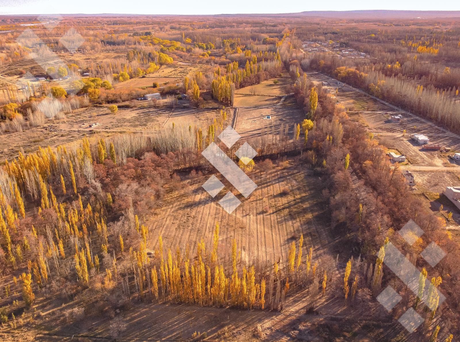 En Venta, 7 Hectáreas y cabaña de 1 dormitorio, zona de chacras Plottier, Neuquén. - 1