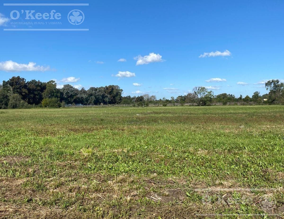 Chacra en venta de 4 has en Abasto - Partido de La Plata !!! - 2