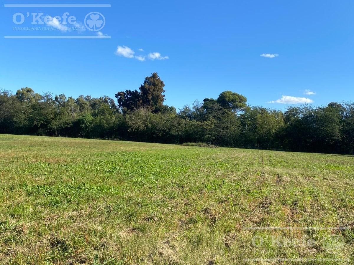 Chacra en venta de 4 has en Abasto - Partido de La Plata !!! - 1