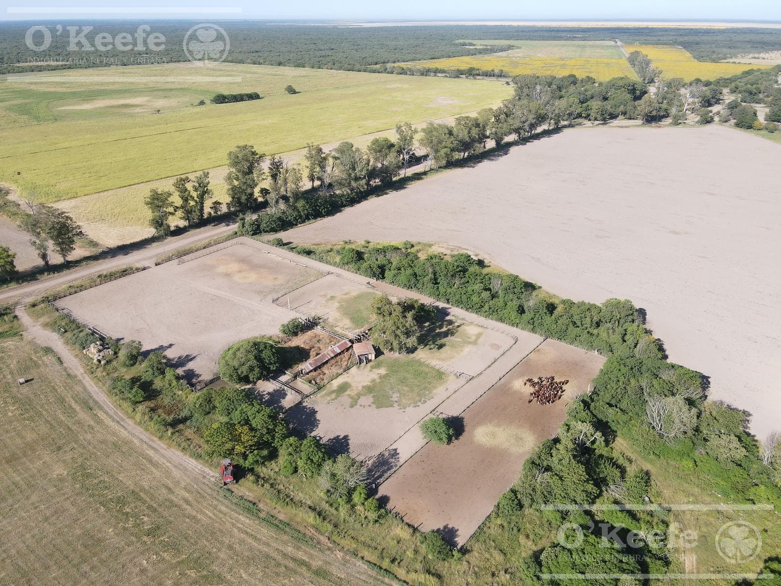 Campo en venta de 31000 Has en Santa Fe. Ganaderas/Agrícolas - 1