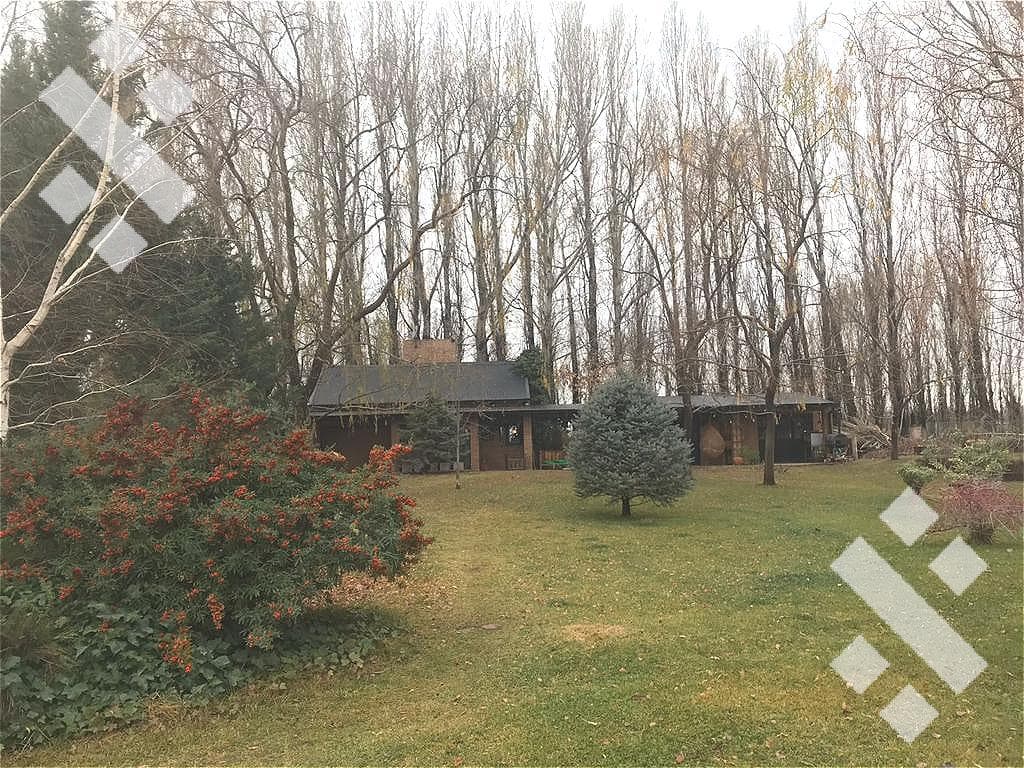 Venta Casa Quinta - Finca Ambort - Plottier Neuquén - 2