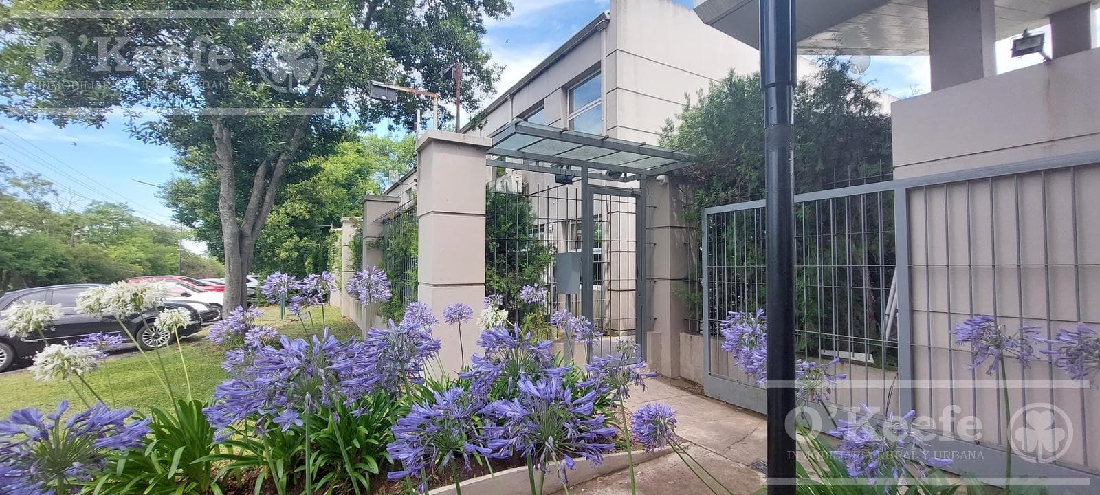 Oficina en ALQUILER - 1