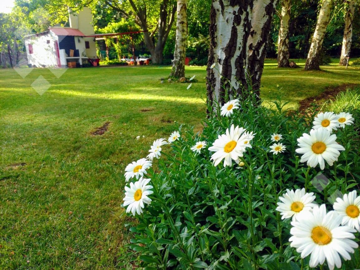 Se alquila, 2 Hectáreas y media, Valentina Sur - 1