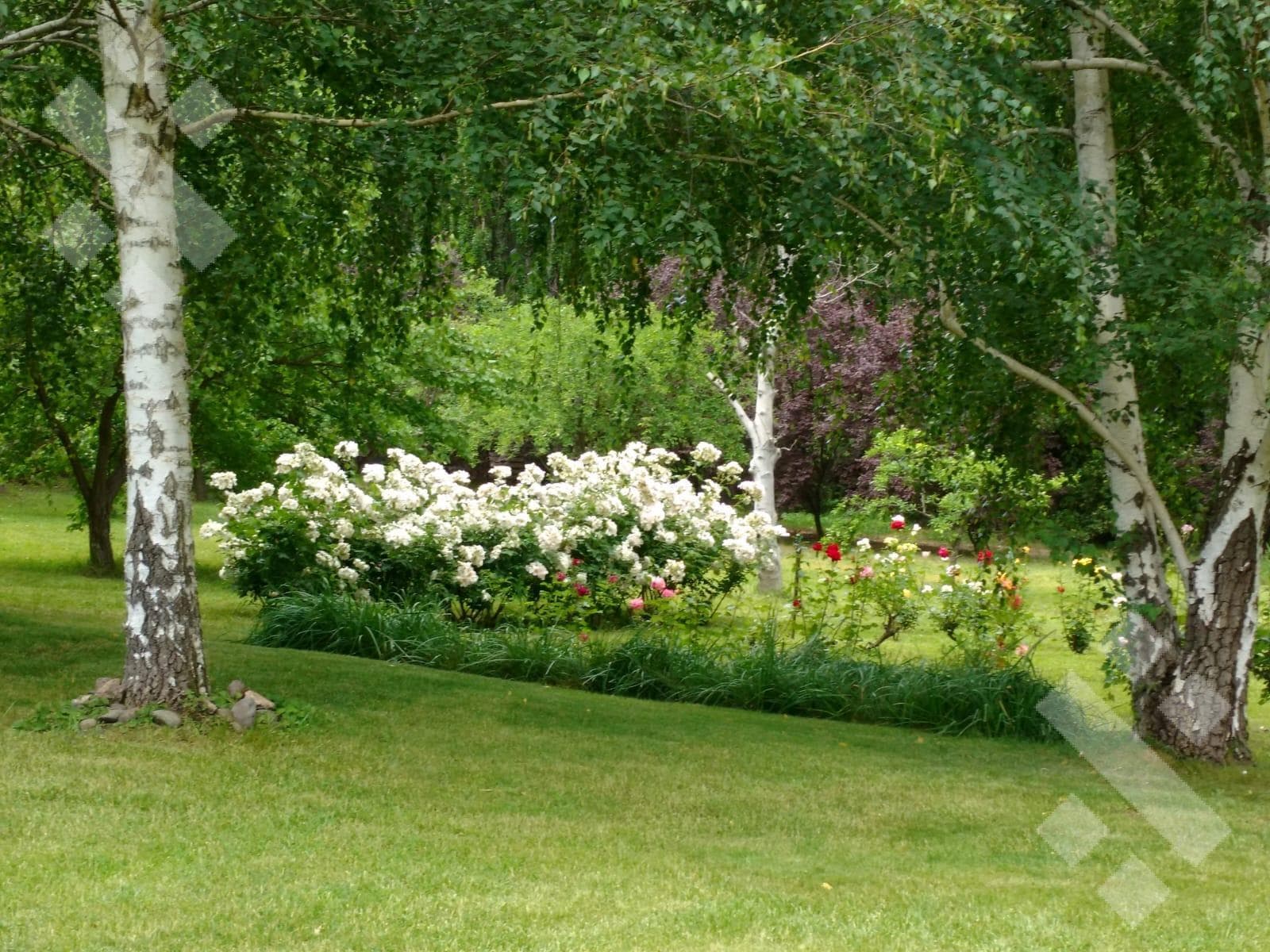 Se alquila, 2 Hectáreas y media, Valentina Sur - 2