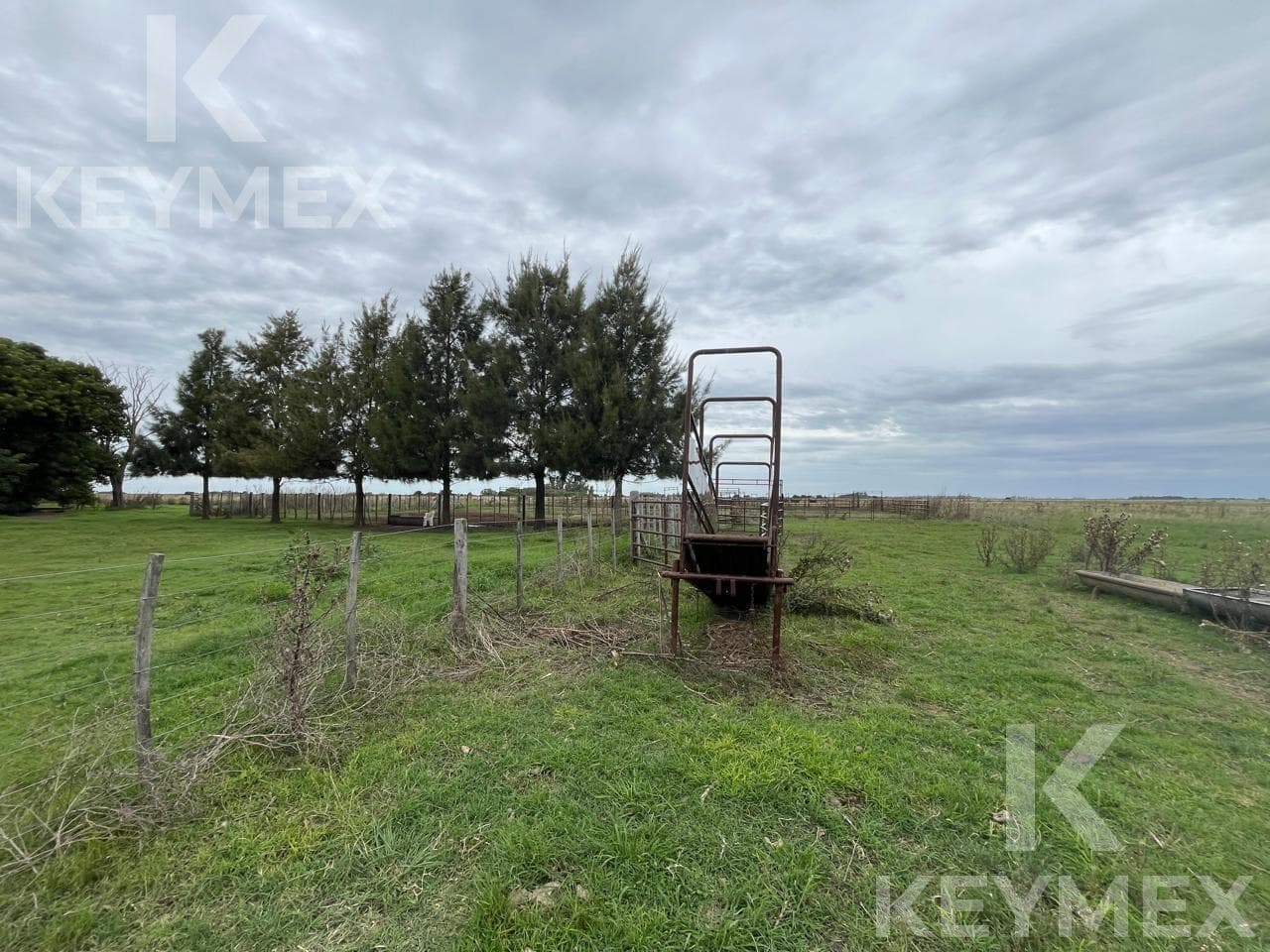 Campo en R36 (km 50) y Camino a Payro - 1