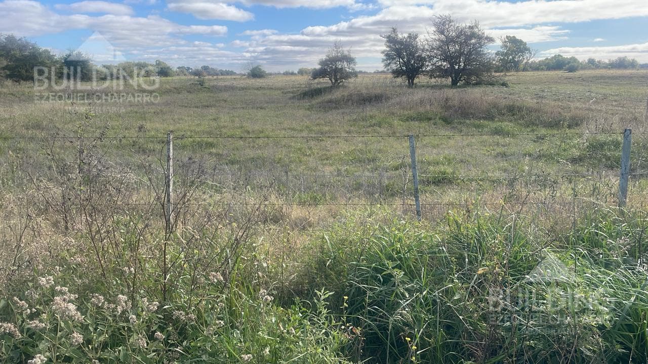 Campo - Chacra de 14 HAS en Atalaya, Magdalena - Ideal Ganado o Siembra - 1