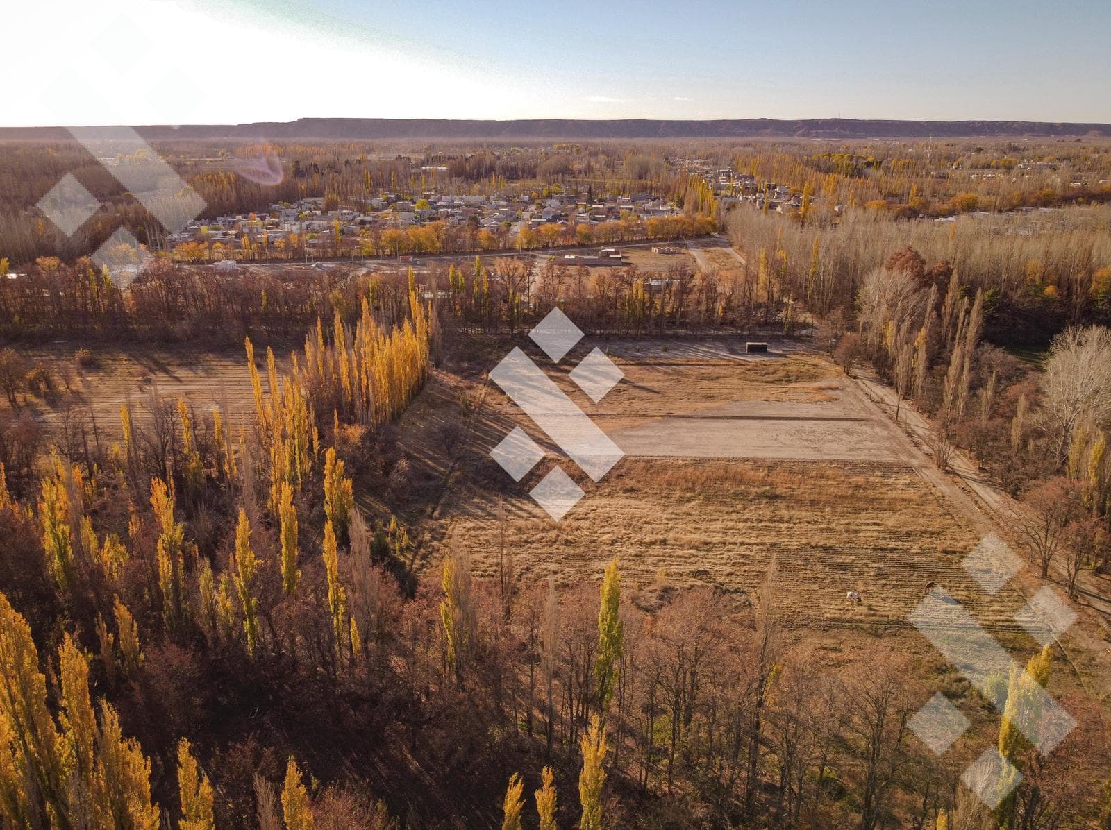 En Venta, Chacra de 7 Hectáreas, en Plottier, Neuquén - 1