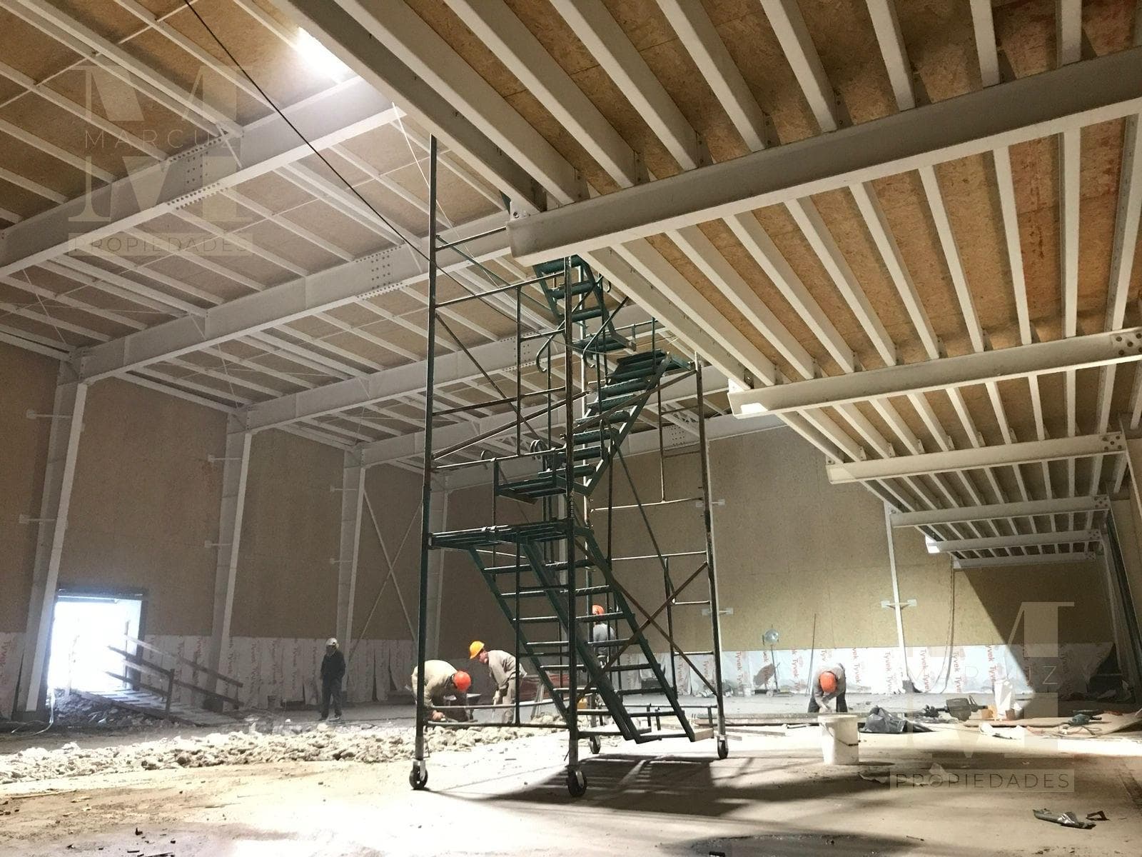 Local - San Vicente - 1