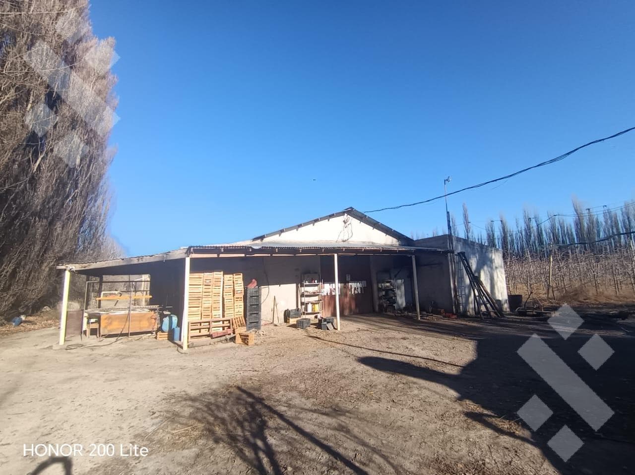 Alquiler Chacra en Centenario - 1