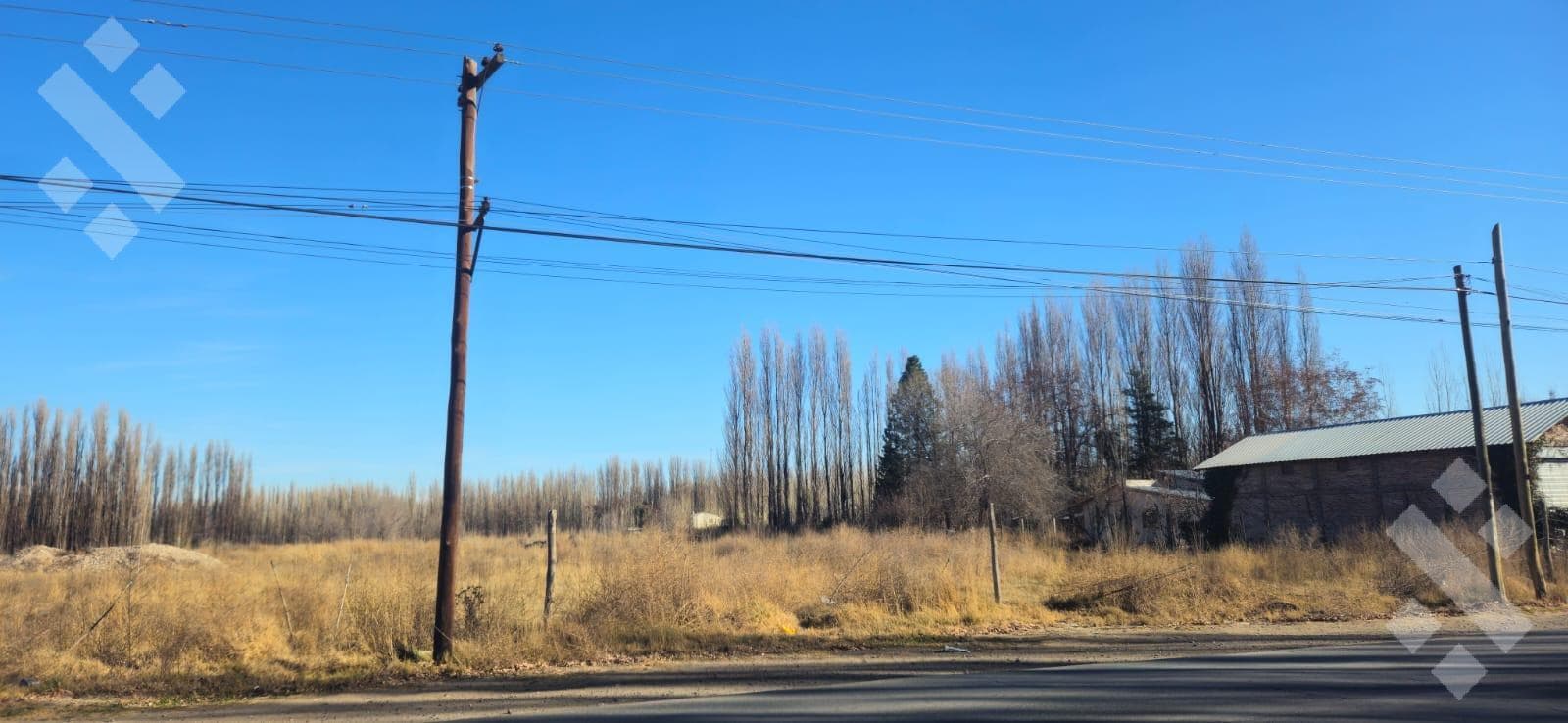 Venta terreno 3 HA - Calle Río Colorado - Plottier - Neuquén - 2