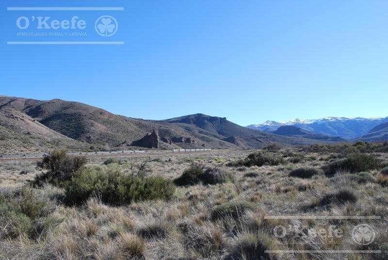 Chacra en venta 2,4 has a orillas del Rio Limay - 2