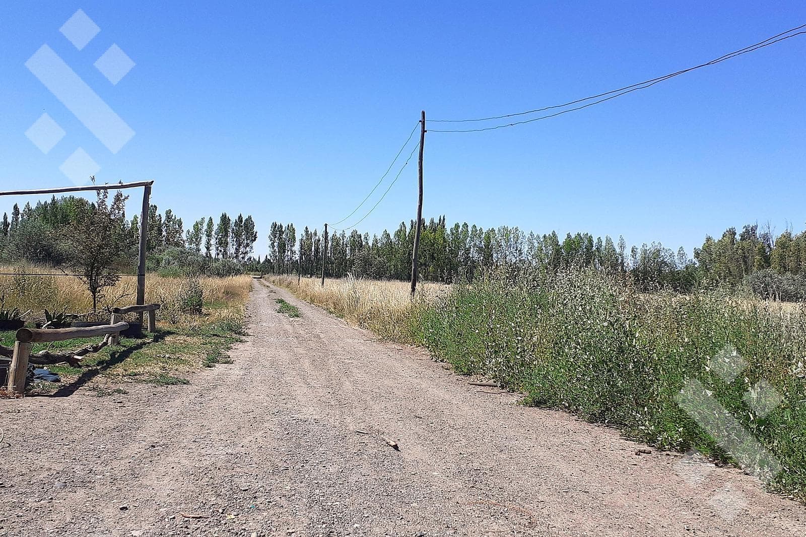 En Venta Chacra en Allen 6Has con Acceso a Ruta 65 - 1