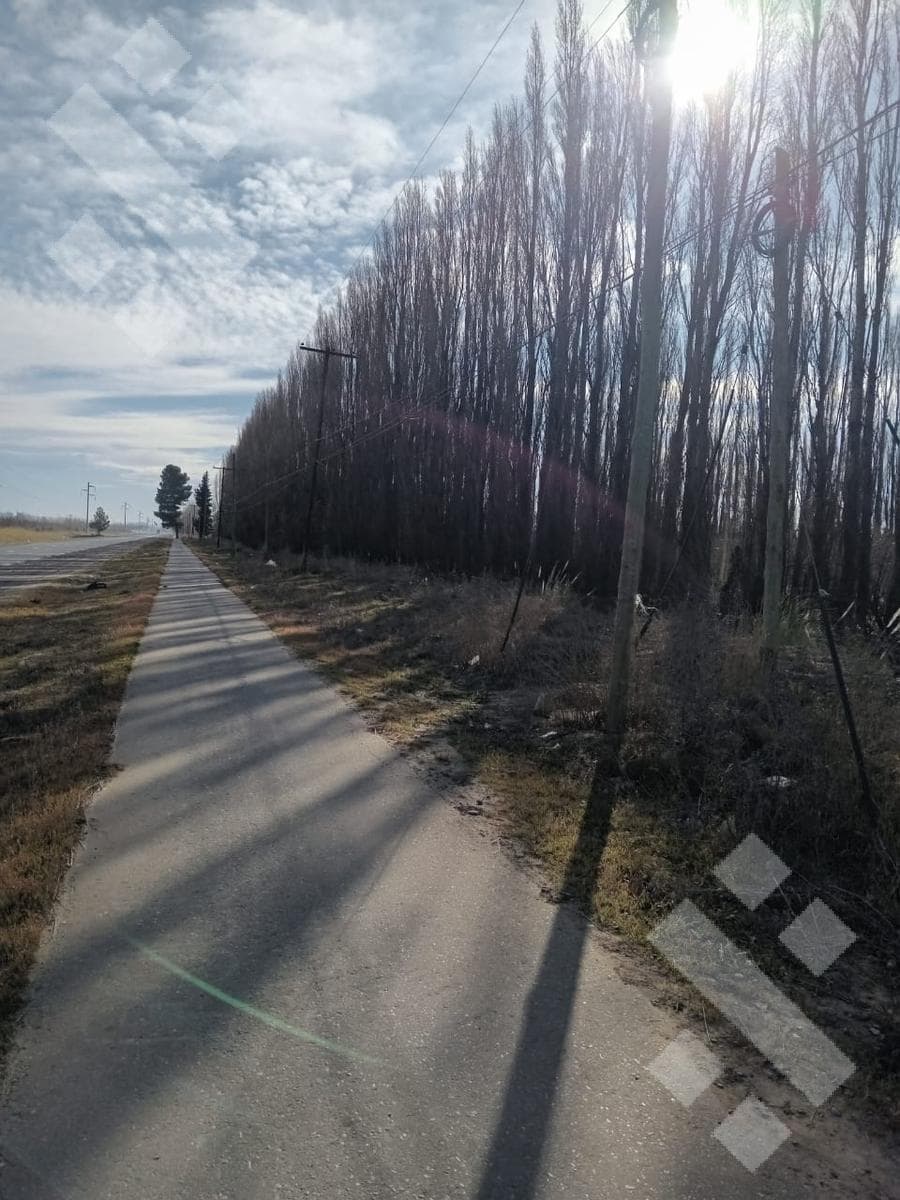 Venta Chacra 21 Hectáreas, frente de ruta provincial 7, San Patricio del Chañar, Neuquen - 1