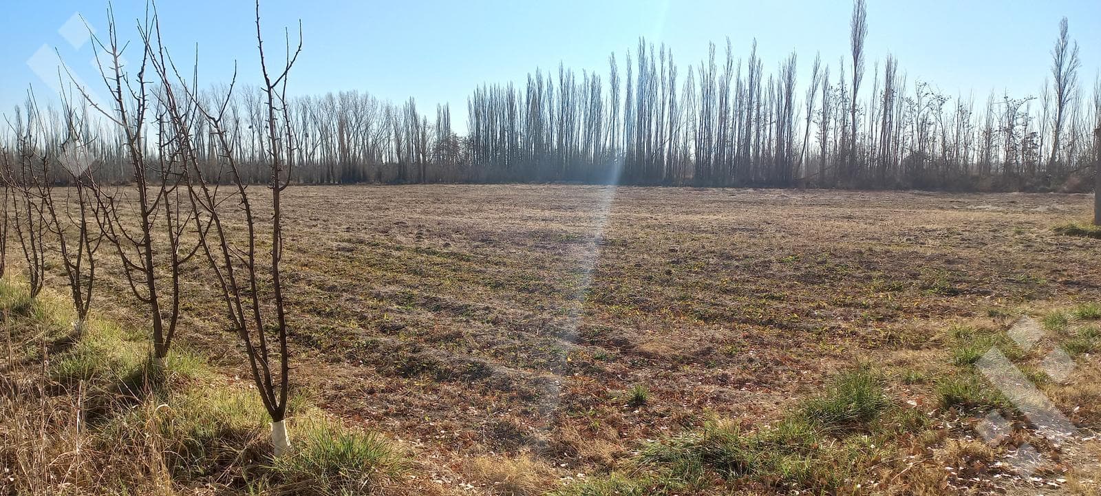 Chacra en General Roca - 2