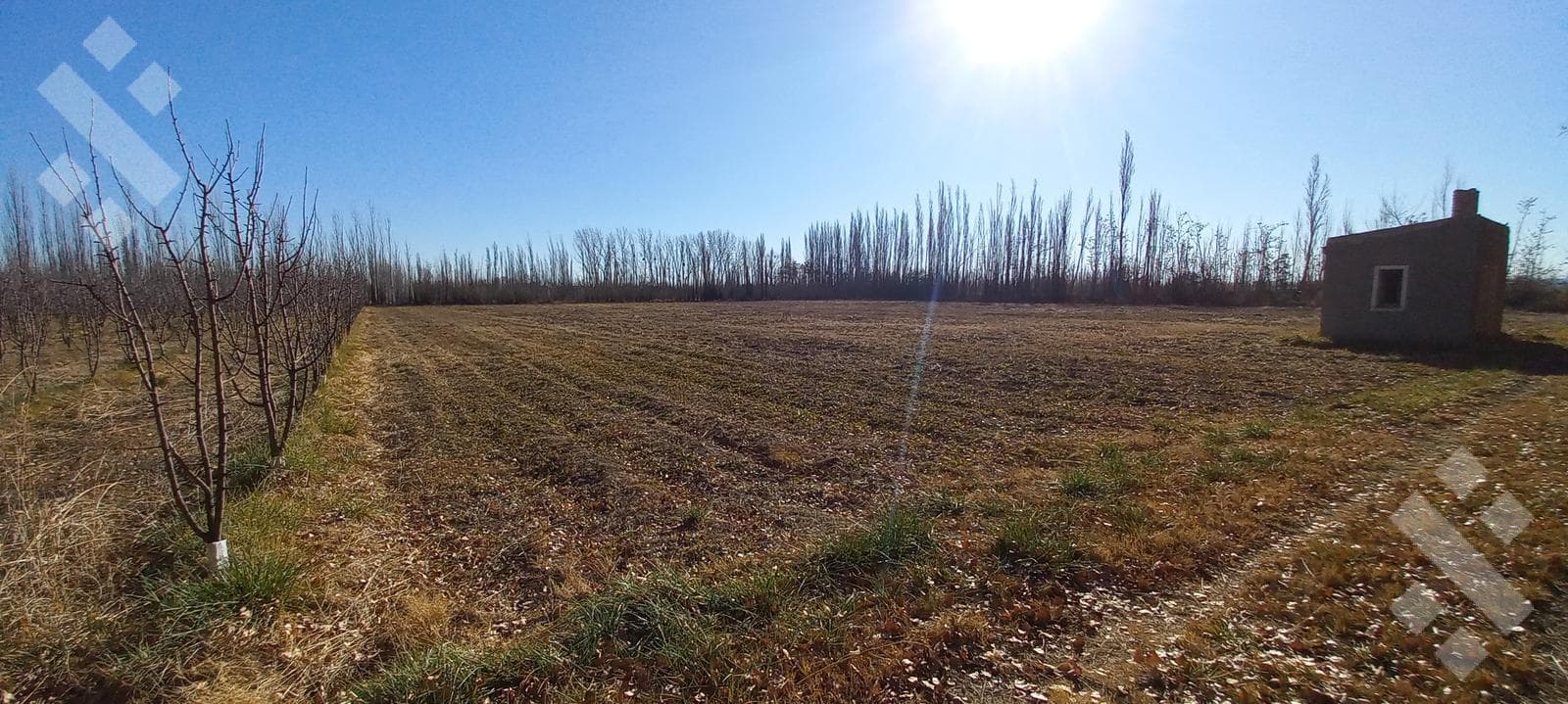 Chacra en General Roca - 1