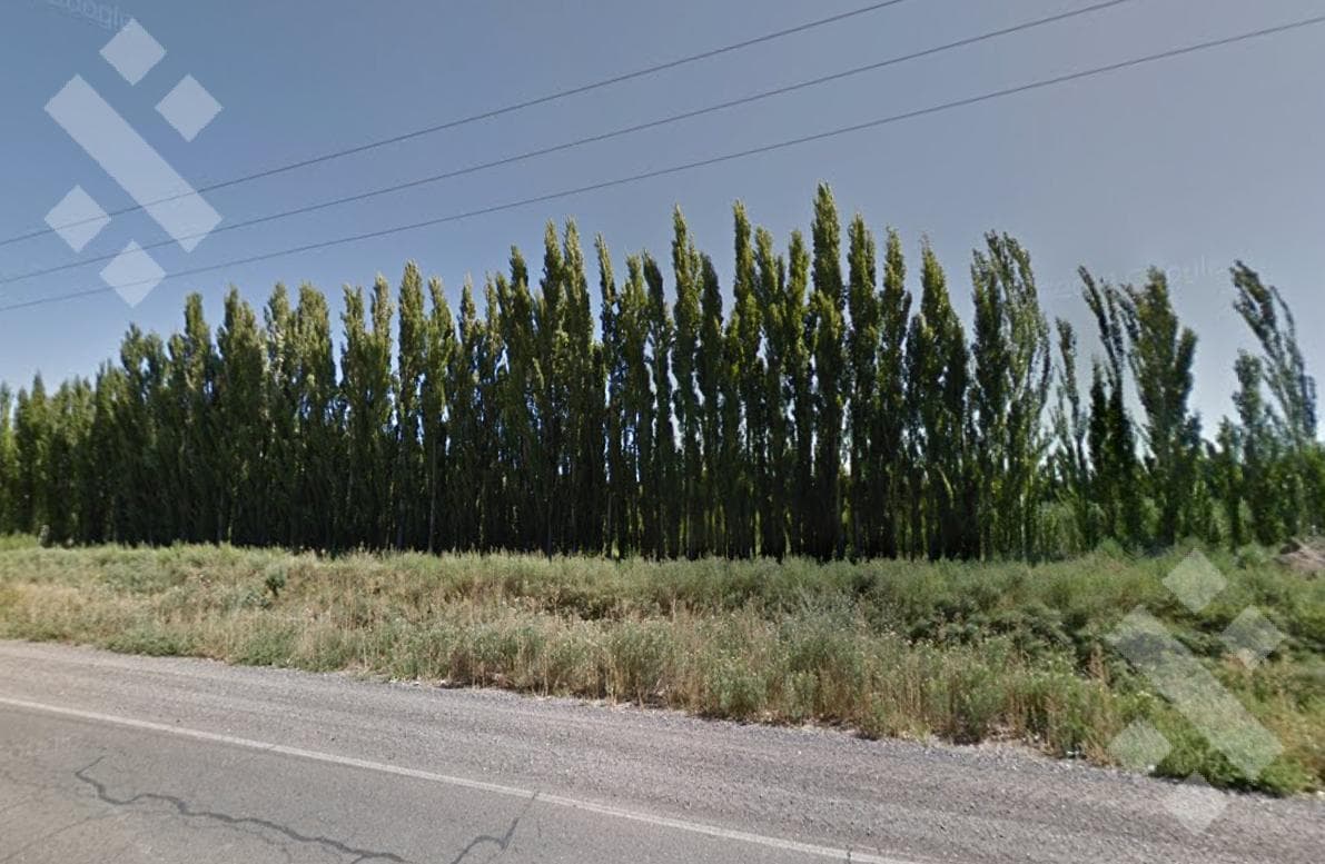 Alquiler de 1 Hectárea con frente de ruta, Añelo - 2