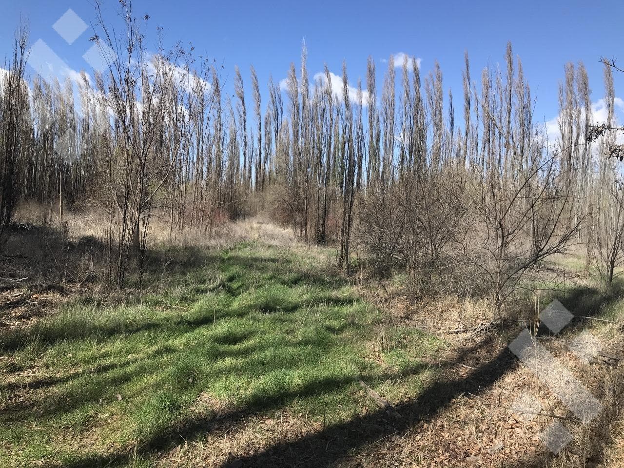 En Venta, 6 Hectareas, Centenario - 2