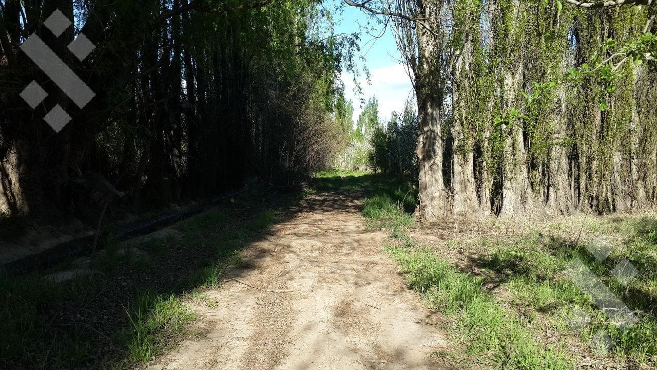 En Venta, 6 Hectareas, Centenario - 1