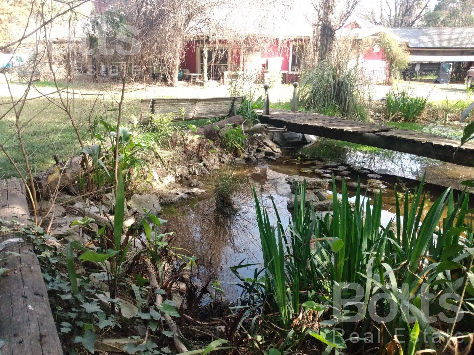 ALQUILER de Importante Lote, en Esquina, de 3.100 metros cuadrados mas casa quinta en Canning - 2