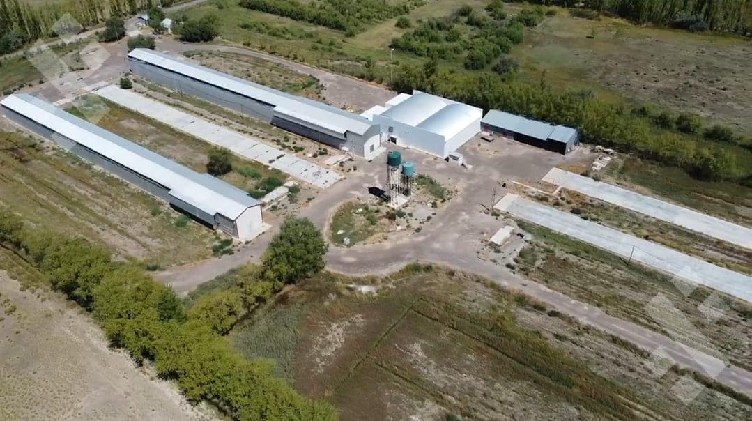 Alquiler de 3 Galpónes - 1