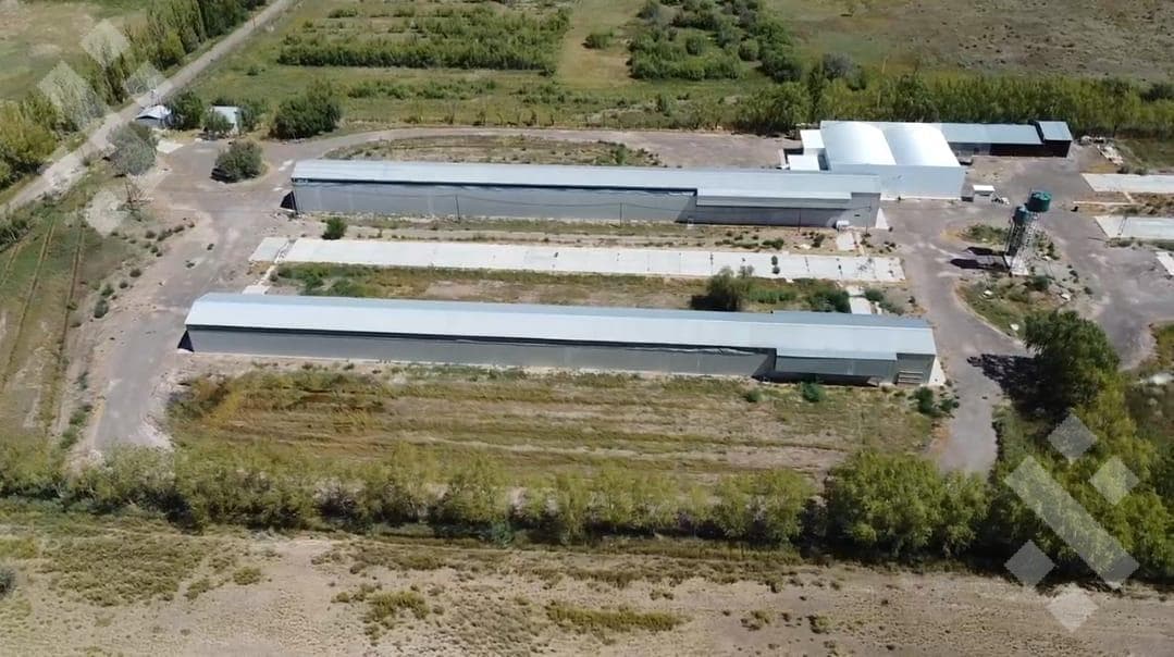 Alquiler de 3 Galpónes - 2