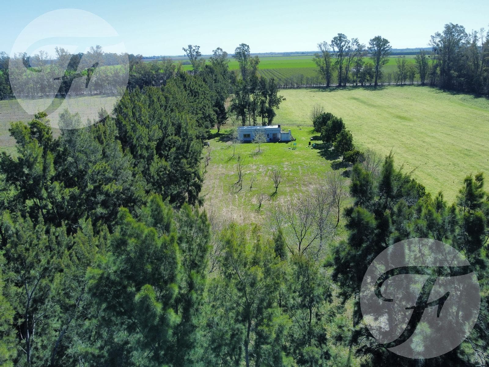 Venta de Chacra en San Pedro - Casa de 100m2 y 5ha de Tierra Productiva - Permuta - 2