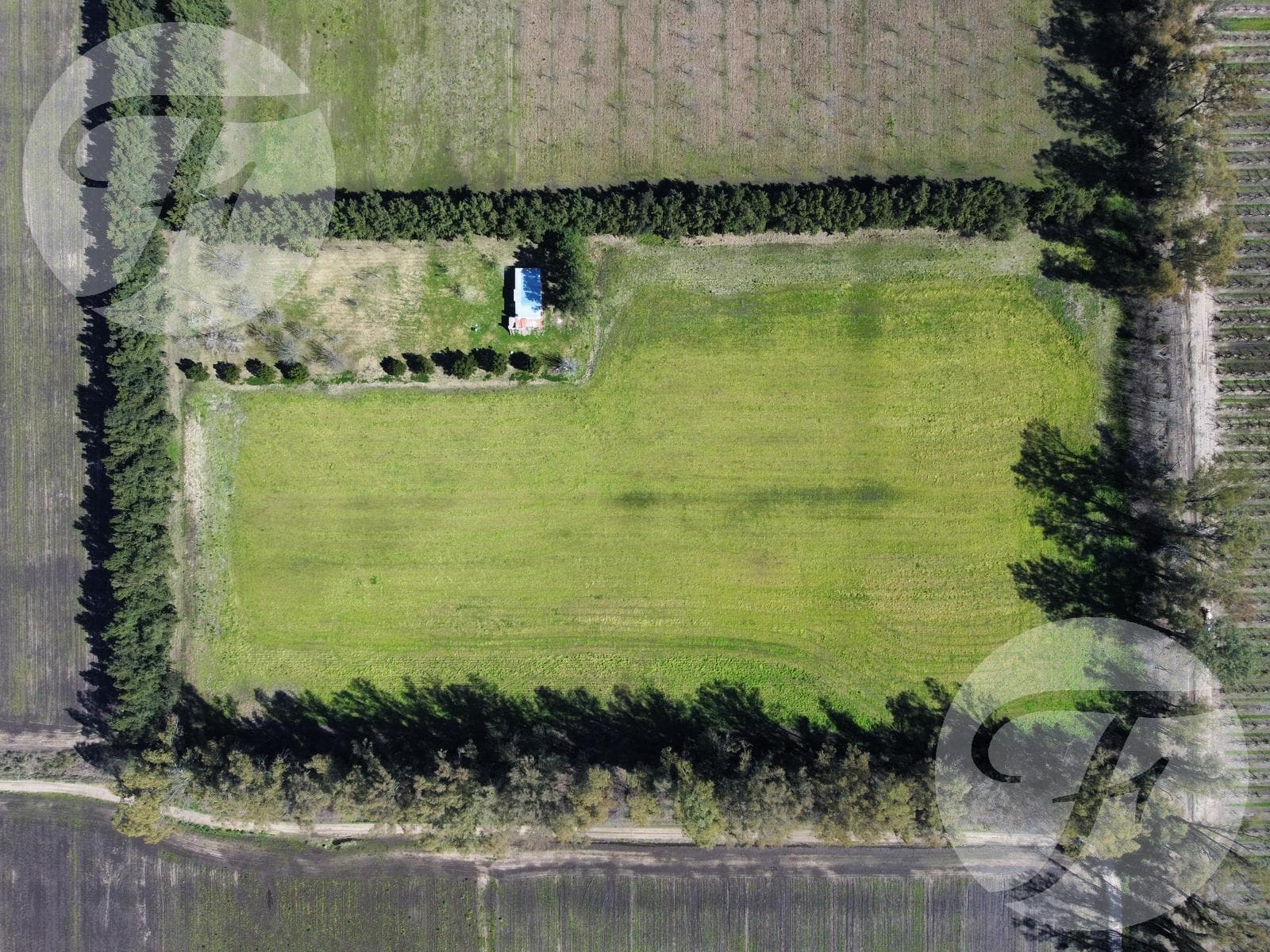 Venta de Chacra en San Pedro - Casa de 100m2 y 5ha de Tierra Productiva - Permuta - 1