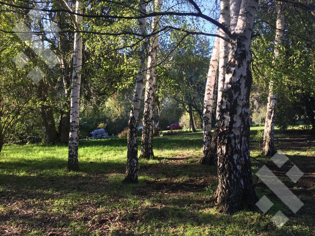 En venta, Chacra Los Maitenes, El Bolsón, Rio Negro - 1