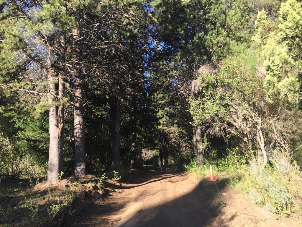 En venta, Chacra Los Maitenes, El Bolsón, Rio Negro - 2