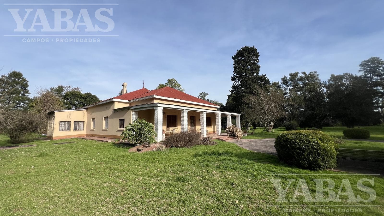 VENTA - CAMPO - 58 HECTAREAS - SAN PEDRO - (BUENOS AIRES) - 1
