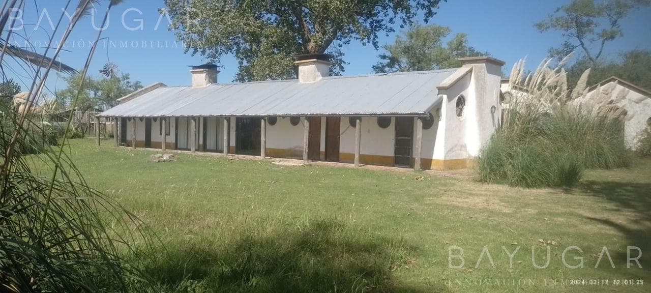 Venta Chacra - Magdalena / Atalaya - Buenos Aires Ruta 11 - 1