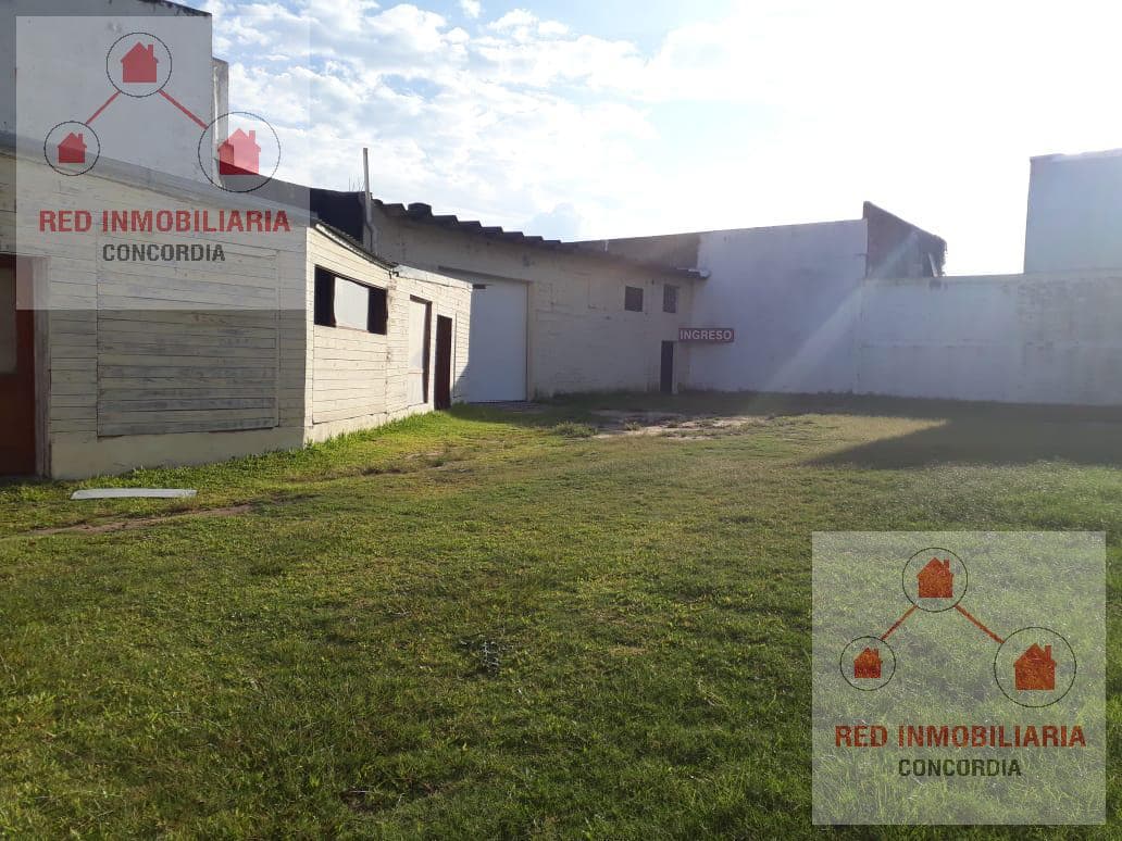 Galpon - Concordia - 1