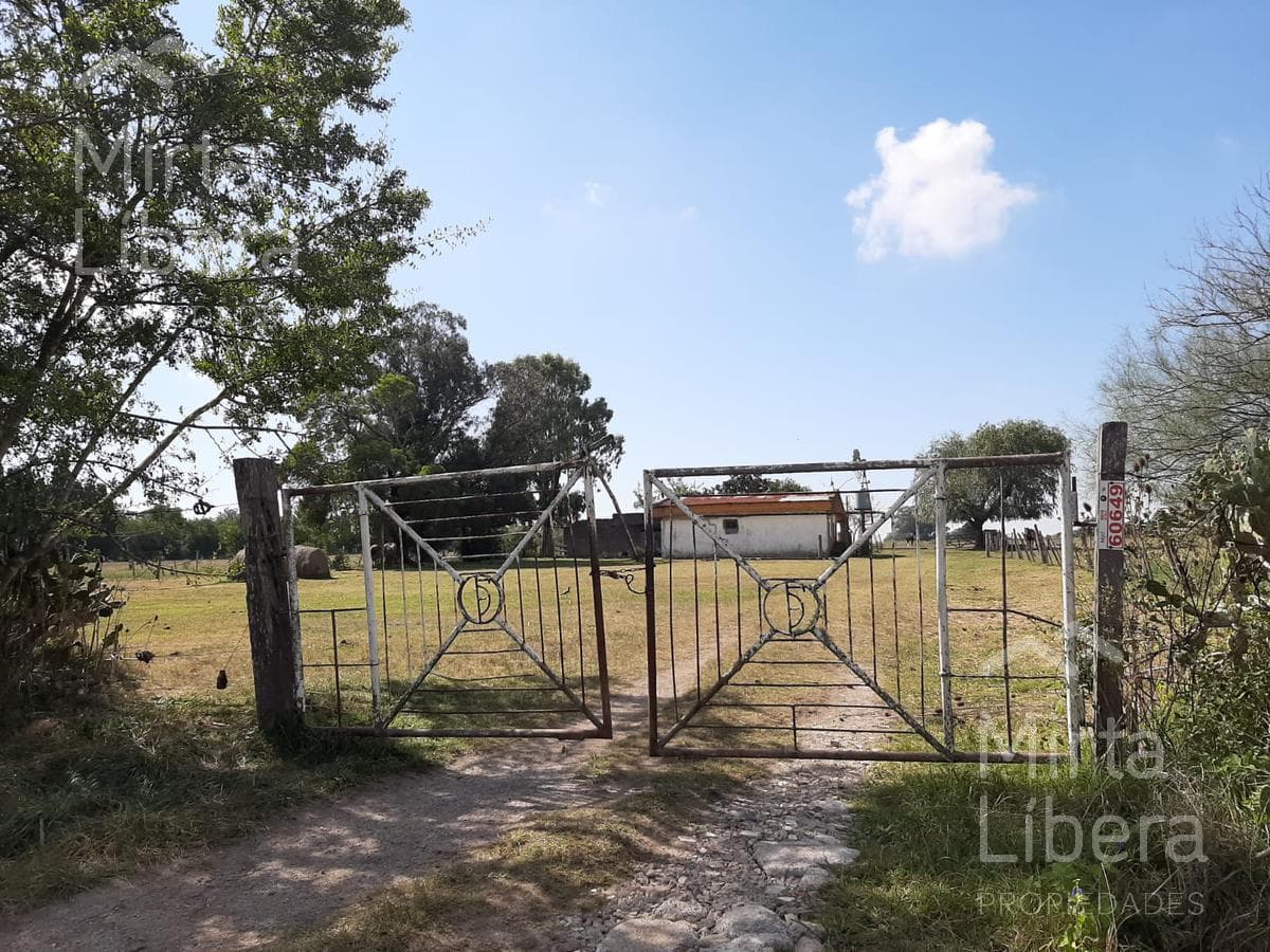 Terreno - Bme Bavio Gral Mansilla - 1