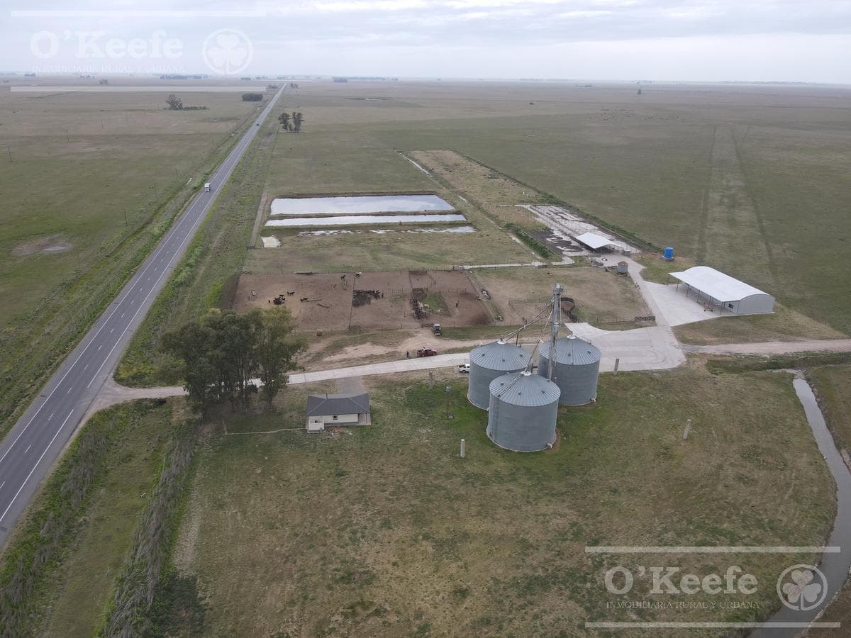 Campo ganadero en venta 3100 has en General Alvear. - 1